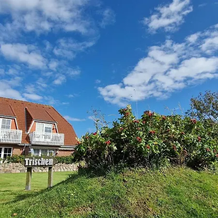 Apartamento Haus-trischen-whg-04